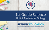 1st Grade Science Unit #5: Molecular Biology