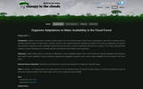 Organism Adaptations to Water Availability in the Cloud Forest
