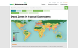 Dead Zones in Coastal Ecosystems