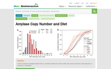 Amylase Copy Number and Diet