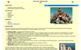 Rock Cycle - Minerals (5A) Lab