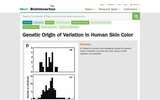 Genetic Origin of Variation in Human Skin Color