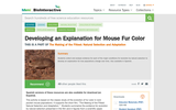 Developing an Explanation for Mouse Fur Color