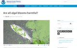 Are all algal blooms harmful?